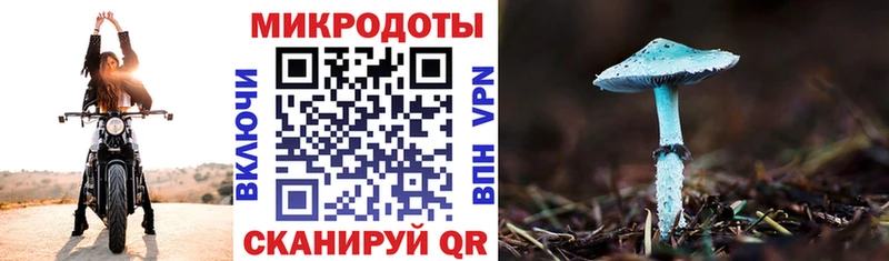 Псилоцибиновые грибы GOLDEN TEACHER  Лосино-Петровский 